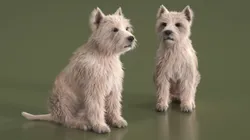 Mongrel Dog Cream Fur Rigged for Cinema 4D 3D model
