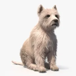 Mongrel Dog Cream Sitting Pose Fur 3D model