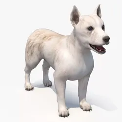 Mongrel Dog Cream Standard Pose 3D model