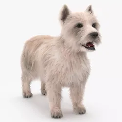 Mongrel Dog Cream Standard Pose Fur 3D model