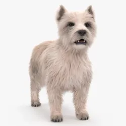 Mongrel Dog Cream Standing Pose Fur 3D model