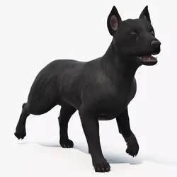 Mongrel Dog Dark Rigged 3D model