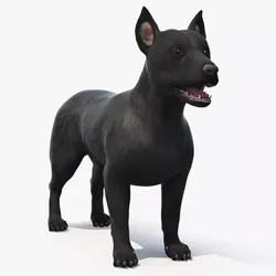 Mongrel Dog Dark Standard Pose 3D model
