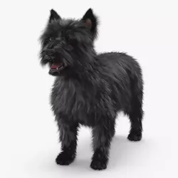 Mongrel Dog Dark Standard Pose Fur 3D model