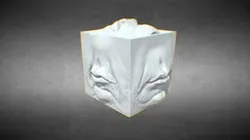 Mouth Study Cube