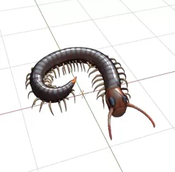 Realistic Centipede 3D print model