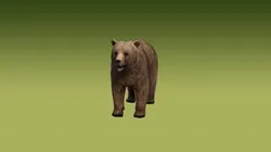Realistic Grizzly Bear 3D Model Rigged Animated Fur PBR Low-poly 3D model
