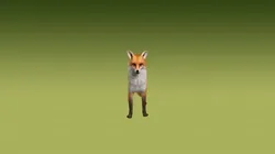 Realistic Red Fox 3D Model Rigged Animated Fur PBR Low-poly 3D model