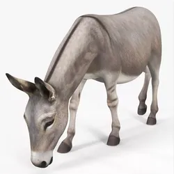 Rural Donkey Grazing Pose 3D model