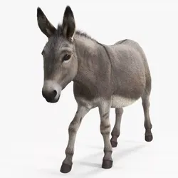 Short-Haired Pack Donkey Fur Rigged 3D model
