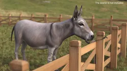 Solid Rock Salt Lick with Hanging Rope with Donkey 3D model