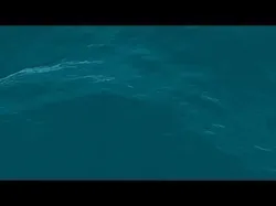 Ultimate Ocean Animation Pack  3 Realistic Water Simulations Low-poly 3D model