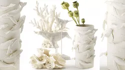 Vase whale coral  bouquet dried flower branches poppy set 3D model