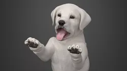 White Labrador Puppy Playful Standing Pose 3D model