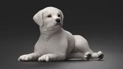 White Labrador Retriever Puppy Lying Down 3D model