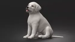 White Labrador Retriever Puppy Sitting Pose 3D model