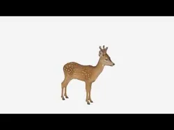 Young Roe Deer with Velvet Antlers Detailed Pose 3D Model 3D model