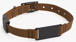Adjustable Nylon Dog Collar Black 3D model