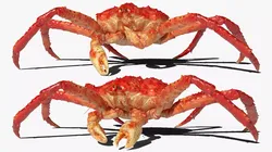Alaskan King Crab Eating Animated Rigged For Blender 3D model