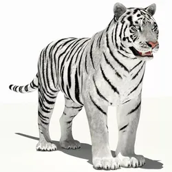 Amur White Tiger Low-poly 3D model