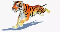 Animated Cartoon Tiger Low-poly 3D model