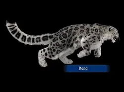 Animated Snow Leopard Ornatrix Fur 3D model