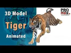 Animated Tiger Low-poly 3D model