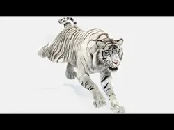 Animated White Tiger with Fur 3D model