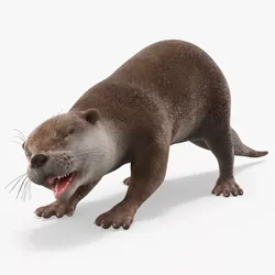Aquatic Otter Walking Animated Rigged 3D model