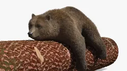 Brown Bear Sleeping on Log Fur 3D model