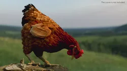 Chicken Pecking Ground Animated Rigged For Blender 3D model