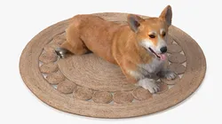 Decorative Spiral Jute Carpet with Corgi Dog On Top Fur 3D model