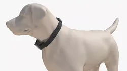 Dog Mannequin with Adjustable Smart Collar 3D model