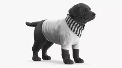 Dog Outfit with Striped Scarf White Black Fur 3D model