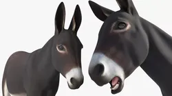 Domestic Donkey Rigged for Blender 3D model