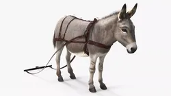 Draft Donkey With Harness Fur 3D model