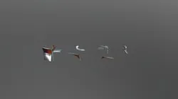 Fall2020-Medium-week7-fragment