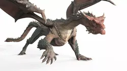 Fantasy Dragon Walking Animated Rigged For Maya 3D model