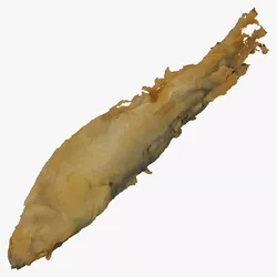 Grilled Trout Fish 01 RAW Scan 3D model