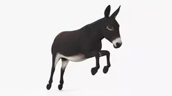 Jumping Farm Donkey Dark Brown 3D model