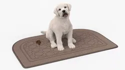 Labrador Retriever Puppy Pooped on the Mat Fur for Cinema 4D 3D model
