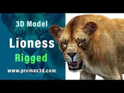 Lioness Rigged Low-poly 3D model