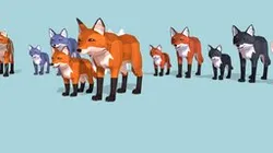 Low Poly Foxes pack