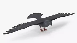 Lowpoly Pigeon Wingspread Black 3D model