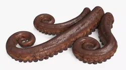 Marine Octopus Tentacles Curled 3D model