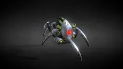 Melee Bot