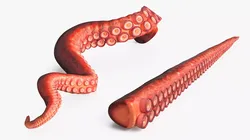 Natural Octopus Tentacle Marine Orange Rigged 3D model