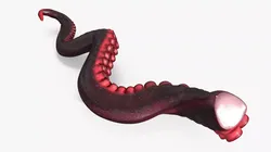 Octopus Tentacle Marine Anatomy Red 3D model