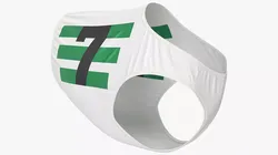 Racing Dog Vest with Number 7 White 3D model