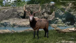 Realistic Elk Fur Rigged For Blender Animated Set 3D model